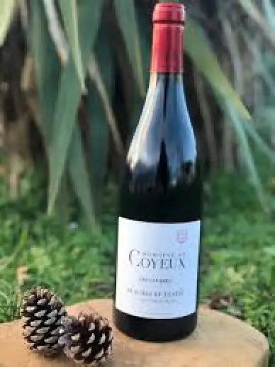 Domaine de Coyeux Côtes du Rhône Les Cavares 750ml