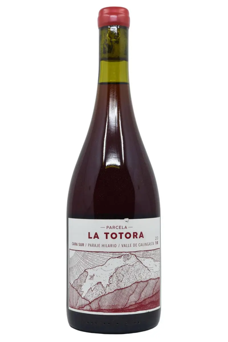 Cara Sur Parcela La Totora 750ml