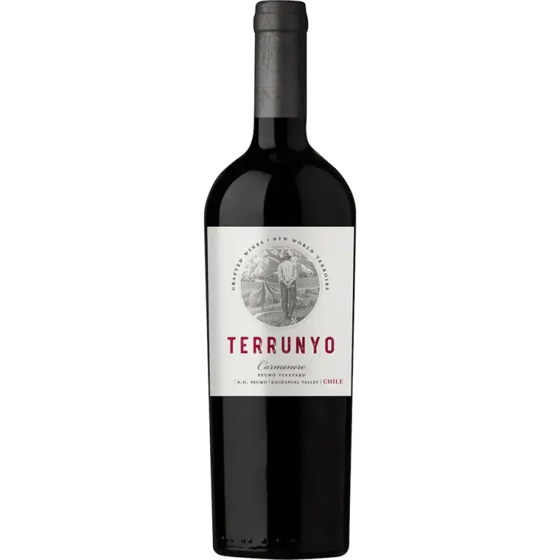 Terrunyo Carmenere 2019 750ml