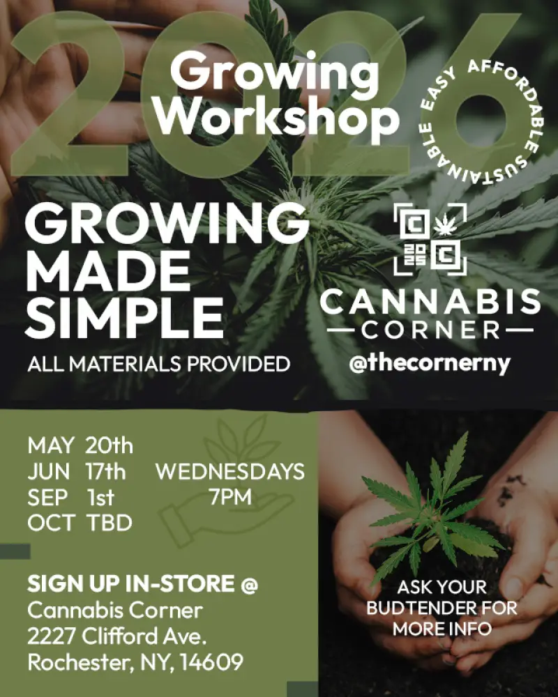 Growing Workshop - Session 2