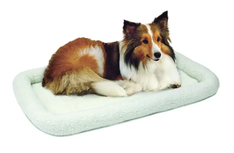 Quiet Time Bed 36