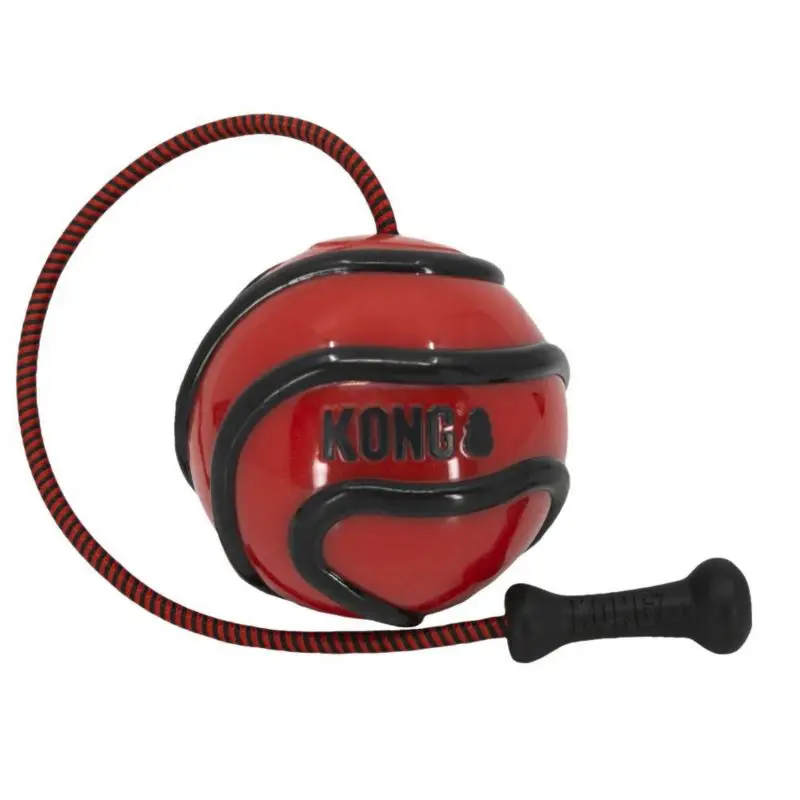 KONG Wavz BunjiBall Lg