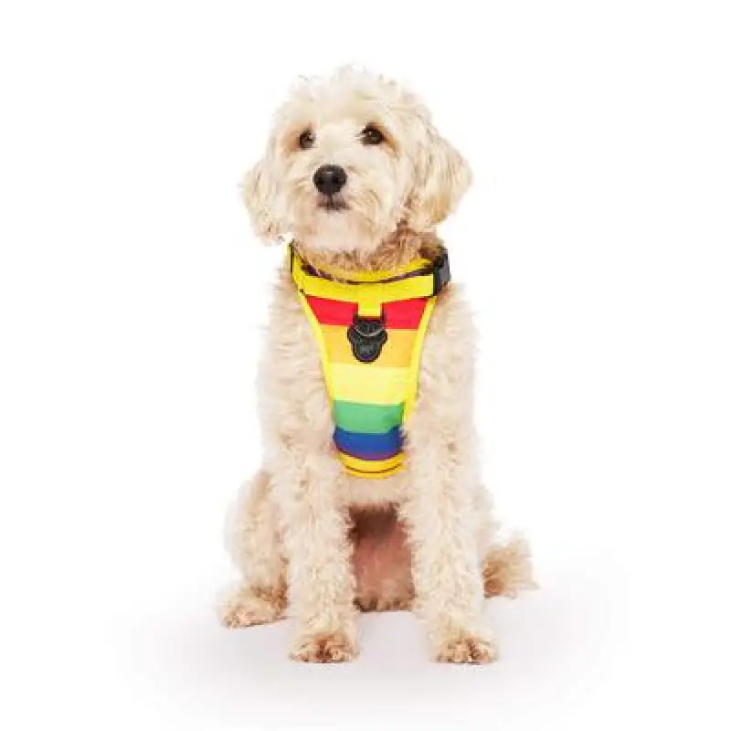 Everything Harness Rainbow Sm