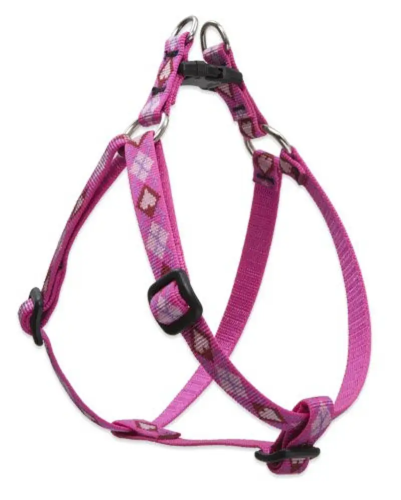 Lupine 10-13 Step-inPuppyLove