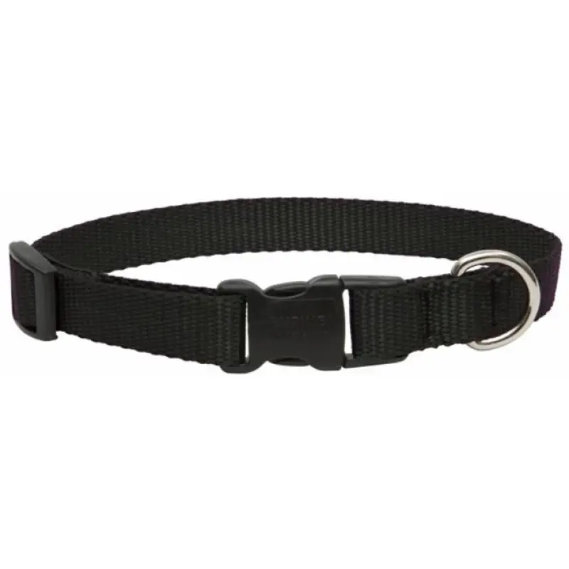 Lupine3/413-22Adj.BlacCollar