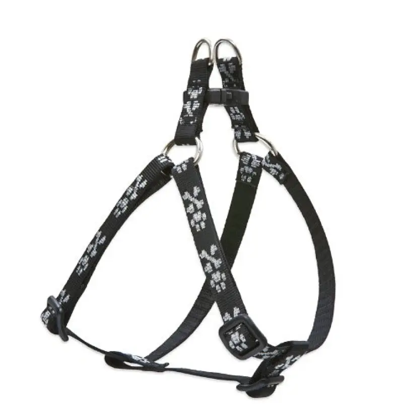 Lupine 12-18 Step-inBlingBonz
