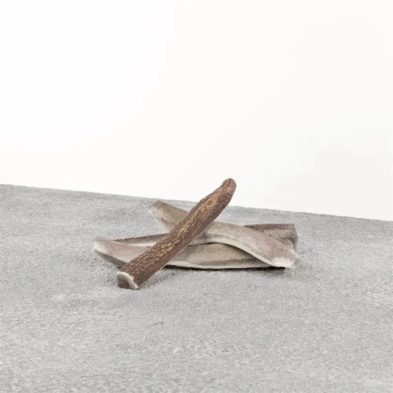 Stag Antler Split LG