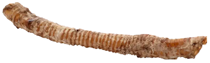 Whole Krunchie Tubes