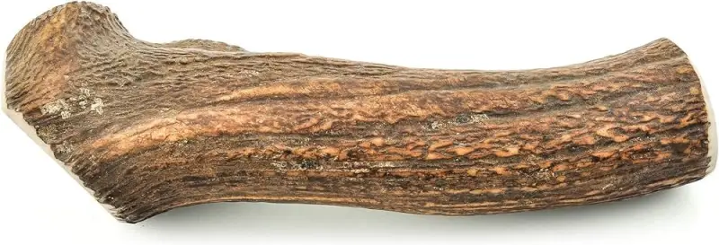 Elk Antler Xsm