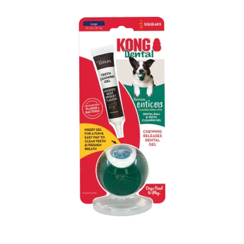 Kong Dental Ball lg