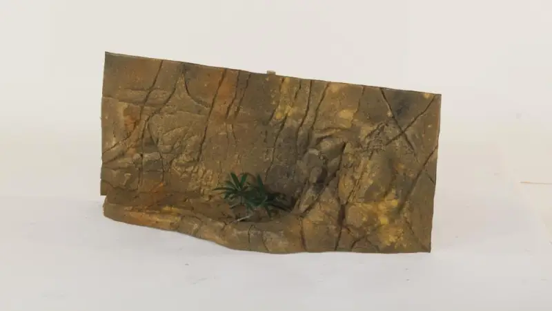 30" x 12" Gecko