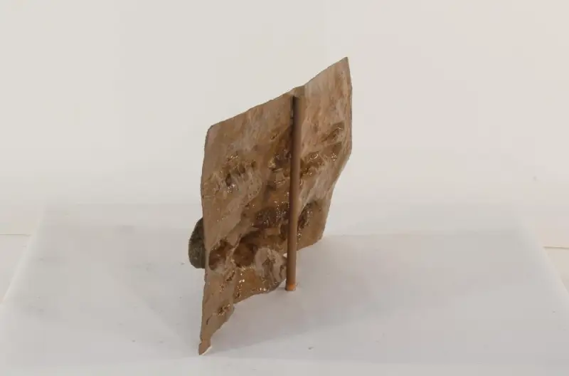 30" x 18" Ledge