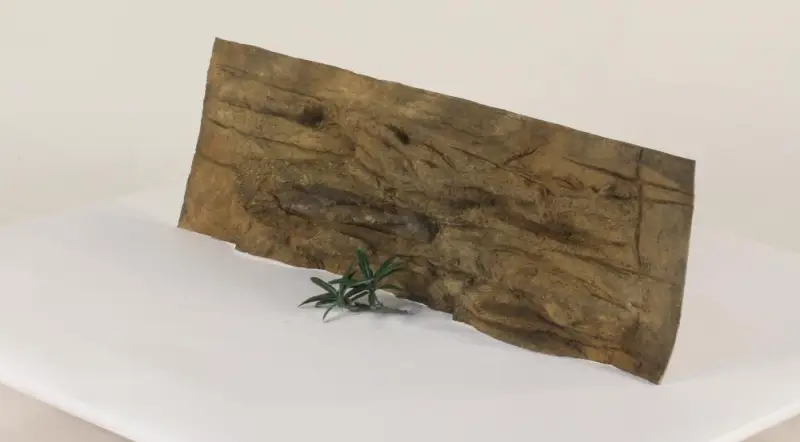 36" x 12" Ledge