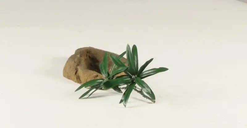 Rock Bowl - 001