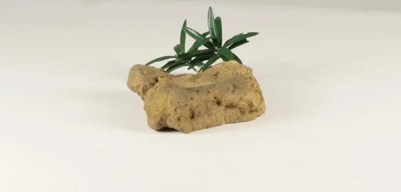 DECOROCK-001