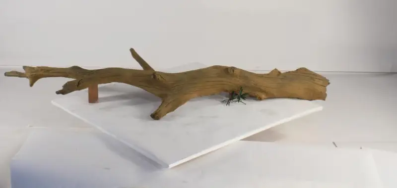 Tree Branch - 006