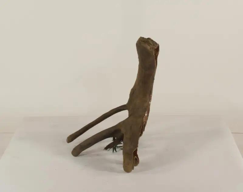 Mangrove Root - 004