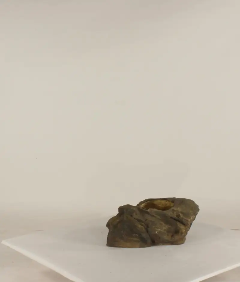 Pot Rock - 003
