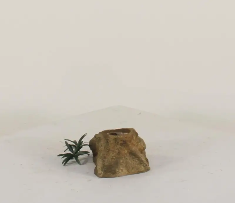 Pot Rock - 007