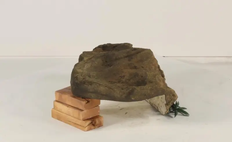 Edge Rock-015