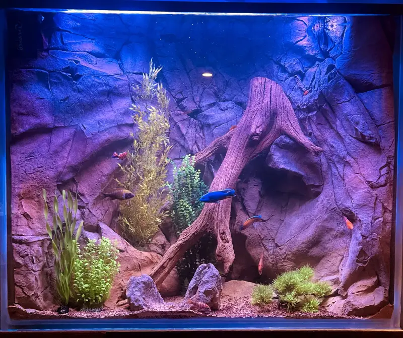 Basalt - Custom