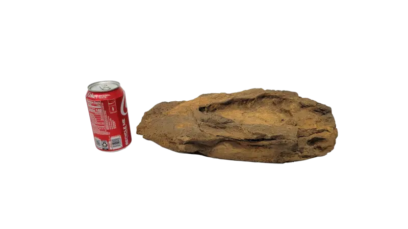 Rock Bowl - 018