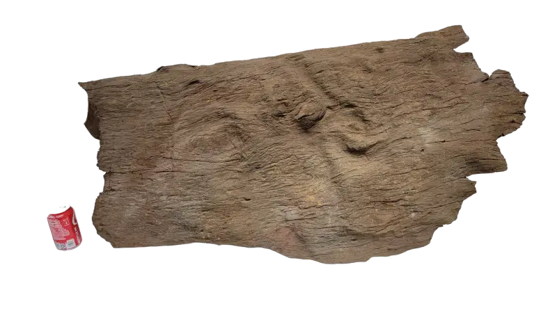 Sunken Log-003