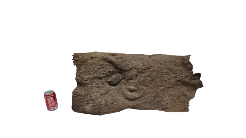 Sunken Log-004