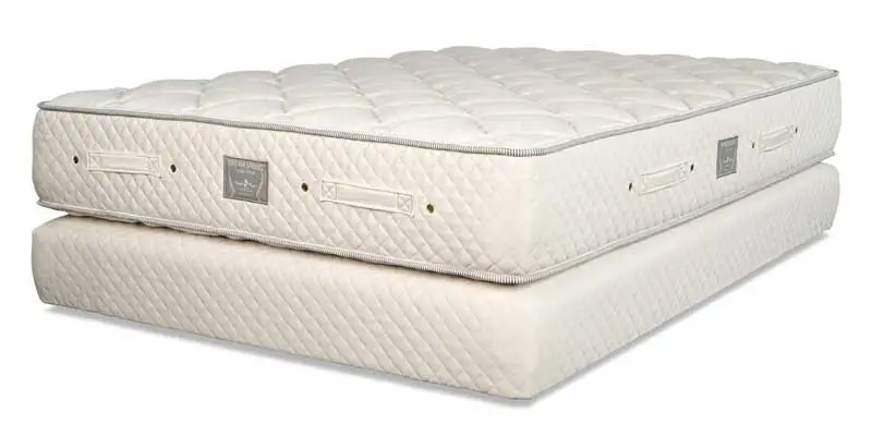 Dream Spring Limited Mattress by Royal-Pedic