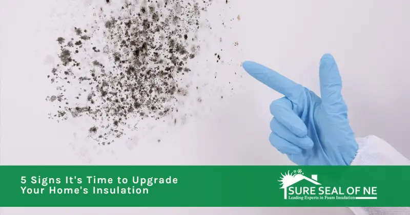 5 Signs It’s Time to Upgrade Your Home’s Insulation